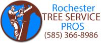 Rochester Tree Service Pros image 7